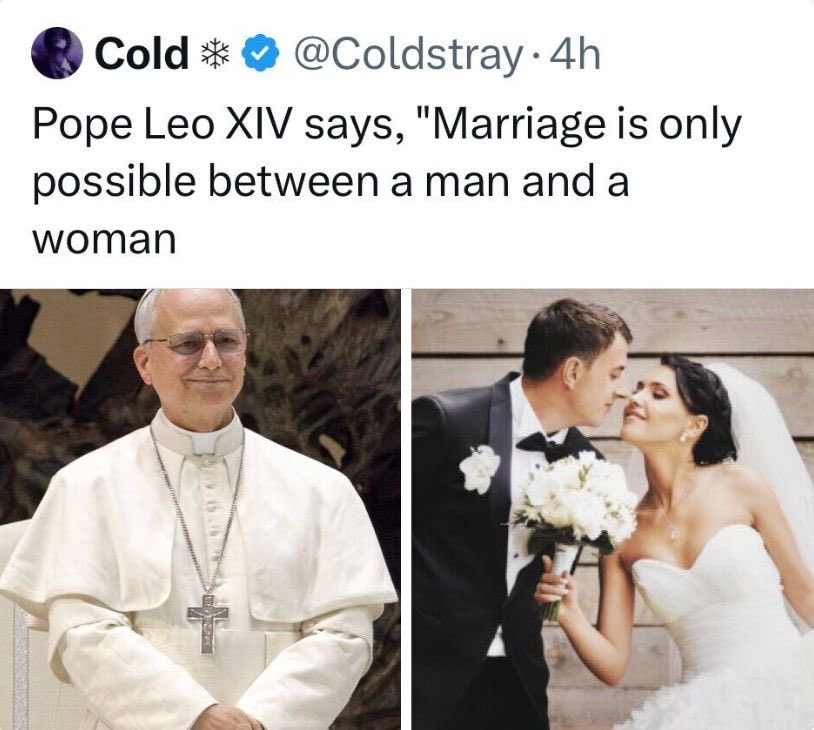 vinq tweet media