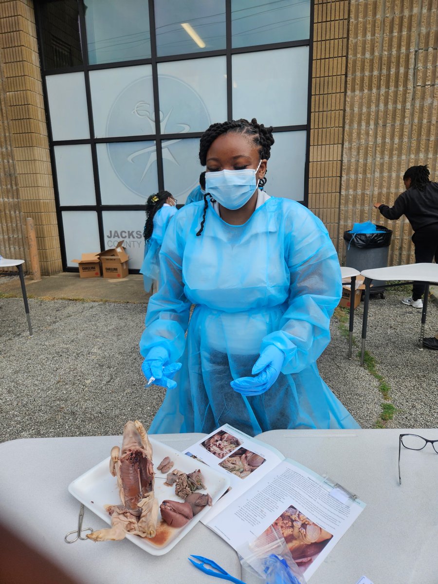 Workforce_JMCSS's tweet photo. Our health science anatomy and physiology classes dissected fetal pigs today to learn about the different organs and systems of the body. #healthcare https://t.co/zsdh796tvh