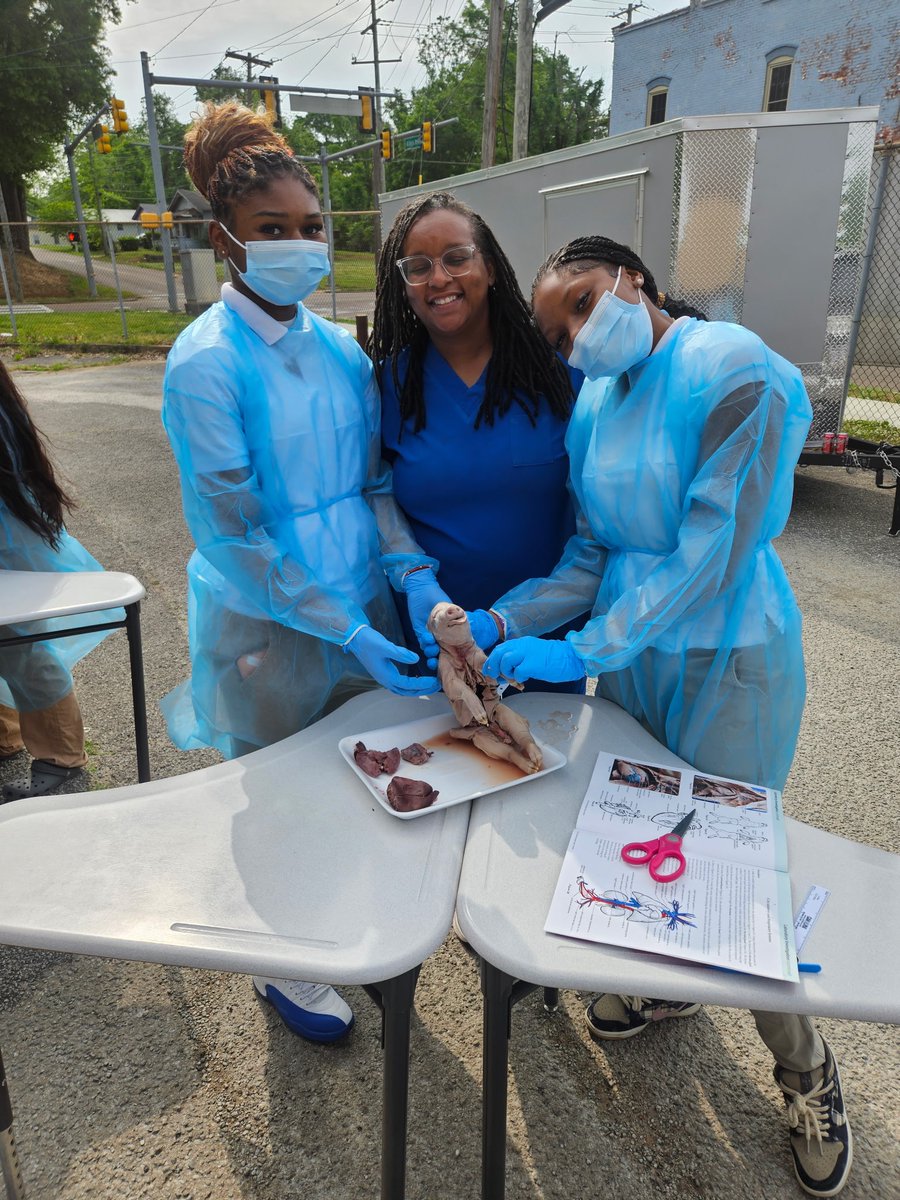 Workforce_JMCSS's tweet photo. Our health science anatomy and physiology classes dissected fetal pigs today to learn about the different organs and systems of the body. #healthcare https://t.co/zsdh796tvh
