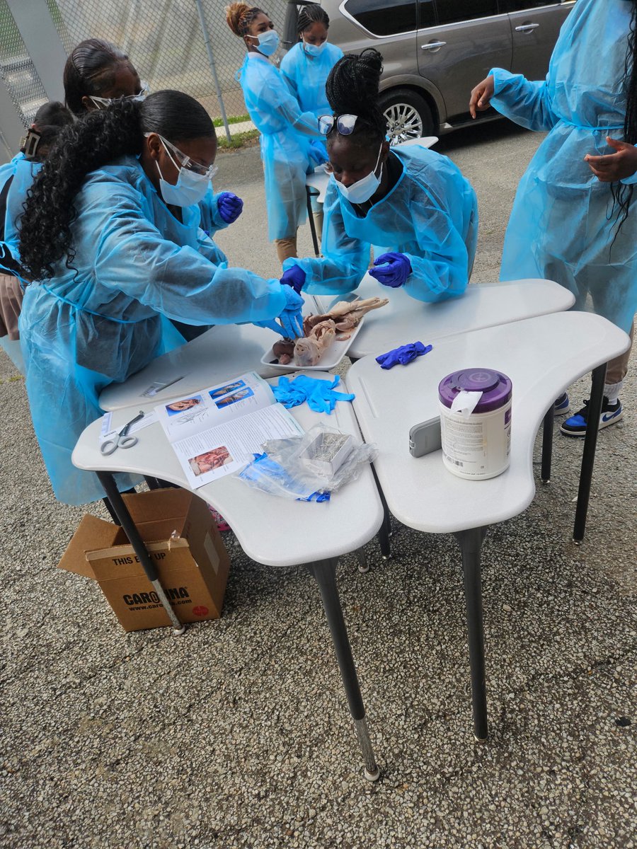 Workforce_JMCSS's tweet photo. Our health science anatomy and physiology classes dissected fetal pigs today to learn about the different organs and systems of the body. #healthcare https://t.co/zsdh796tvh