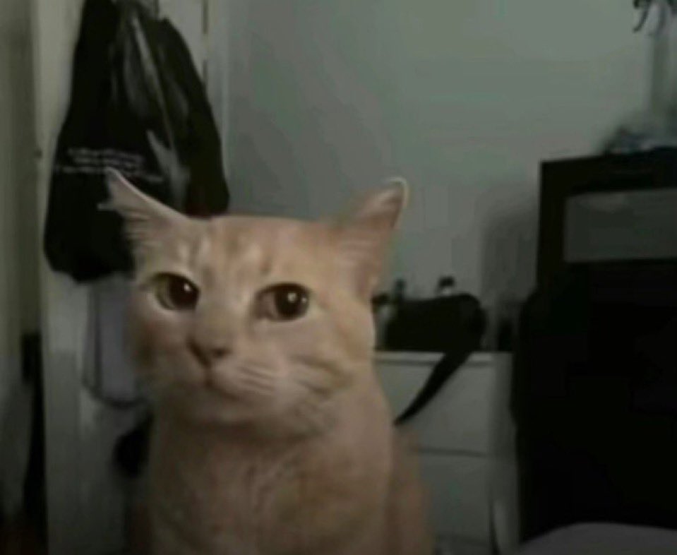 𝚂‌𝚊‌𝚎‌𝚕‌ 🦆 tweet media