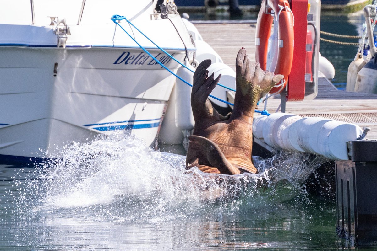 Iain Cameron tweet media