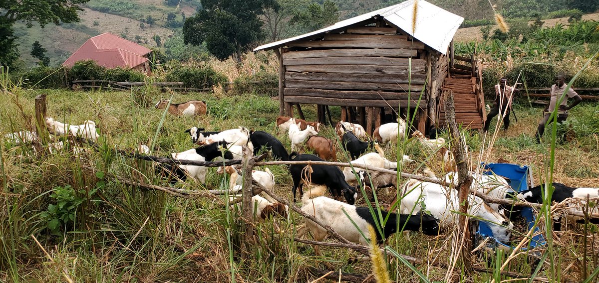 Ashbels EM tweet media