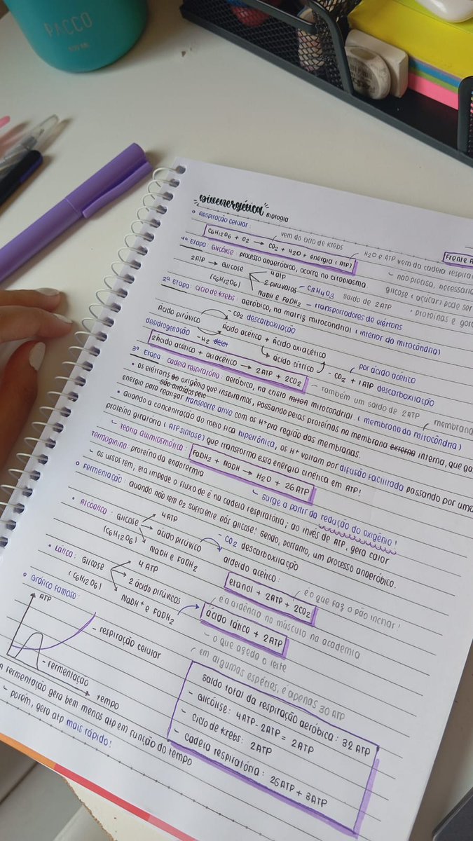 yukari ⚕️ tweet media