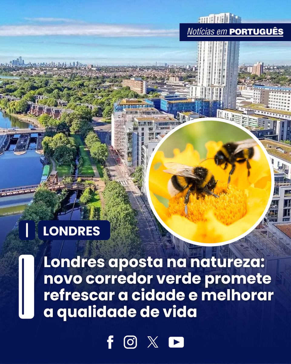 jornalNEP's tweet image. Londres terá um corredor verde de 22 km para reduzir o calor em até 7°C e recuperar a biodiversidade.
O projeto é liderado pela Wild Cities e ligará áreas entre o Lee Valley Regional Park e o rio River Thames.
#Londres #Sustentabilidade #MeioAmbiente