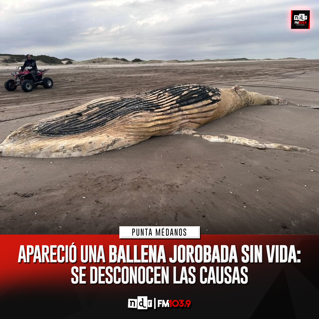 NdR Radio FM 103.9 tweet media