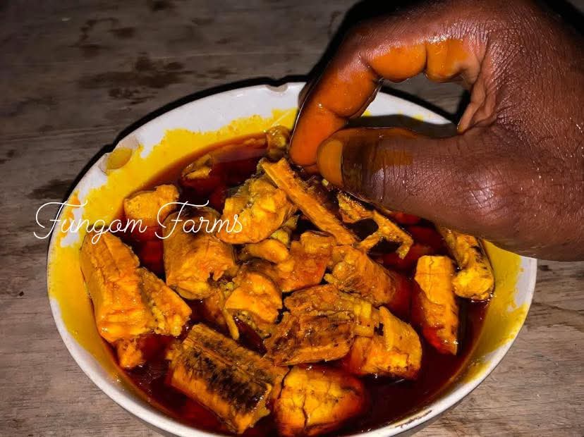 FungomF's tweet image. There is perfection in the making at the #FungomFarms

Invest in your rural communities!

#process #perfection #fungomfarms