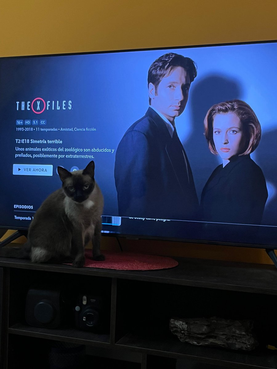 Agustin — bio/acc tweet media