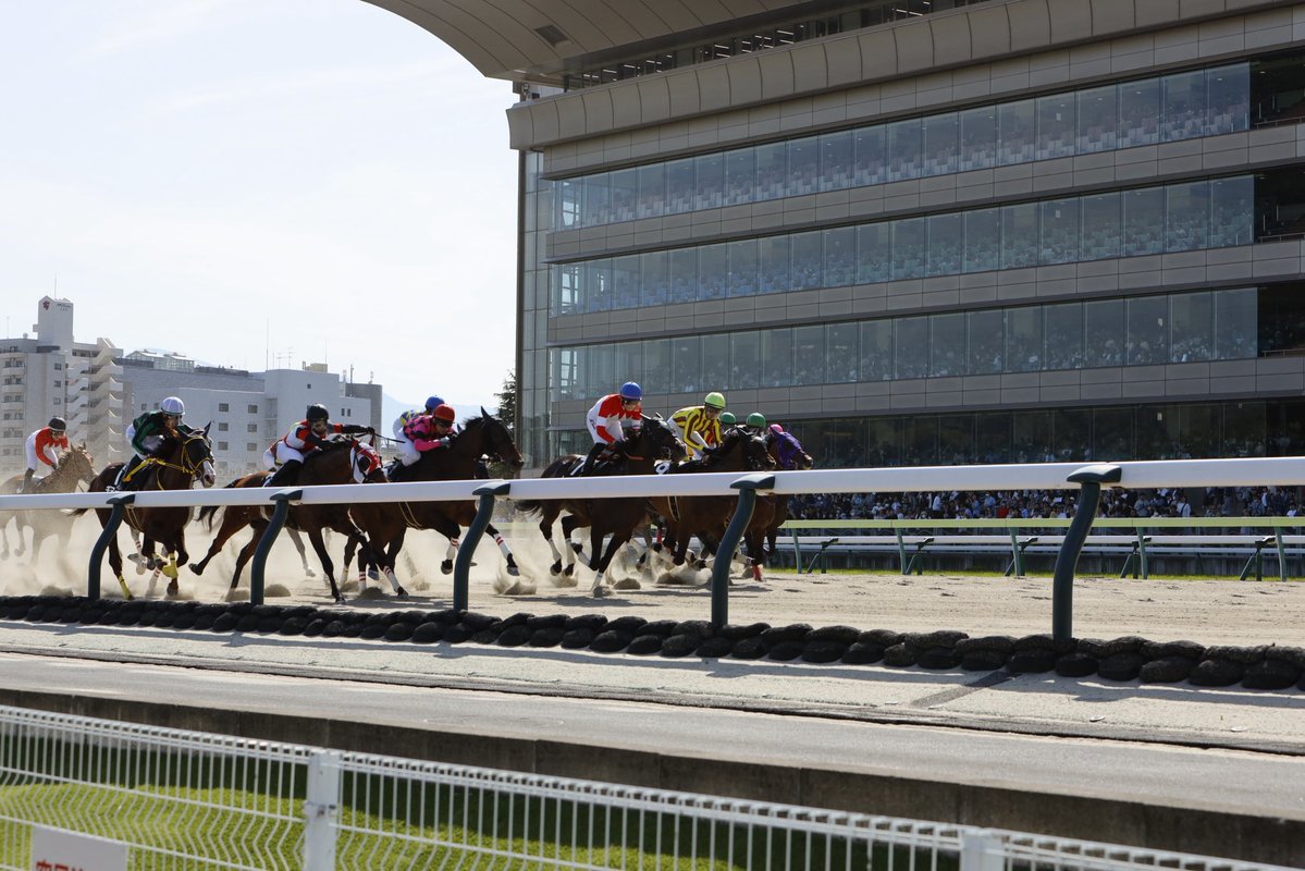 ushiropotun_223's tweet image. 初めて内馬場から撮影
ラチ高くてムズイ

#CanonEOSR
#競馬写真