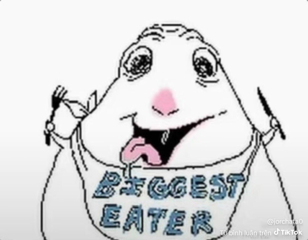 sóc🐿️ tweet media