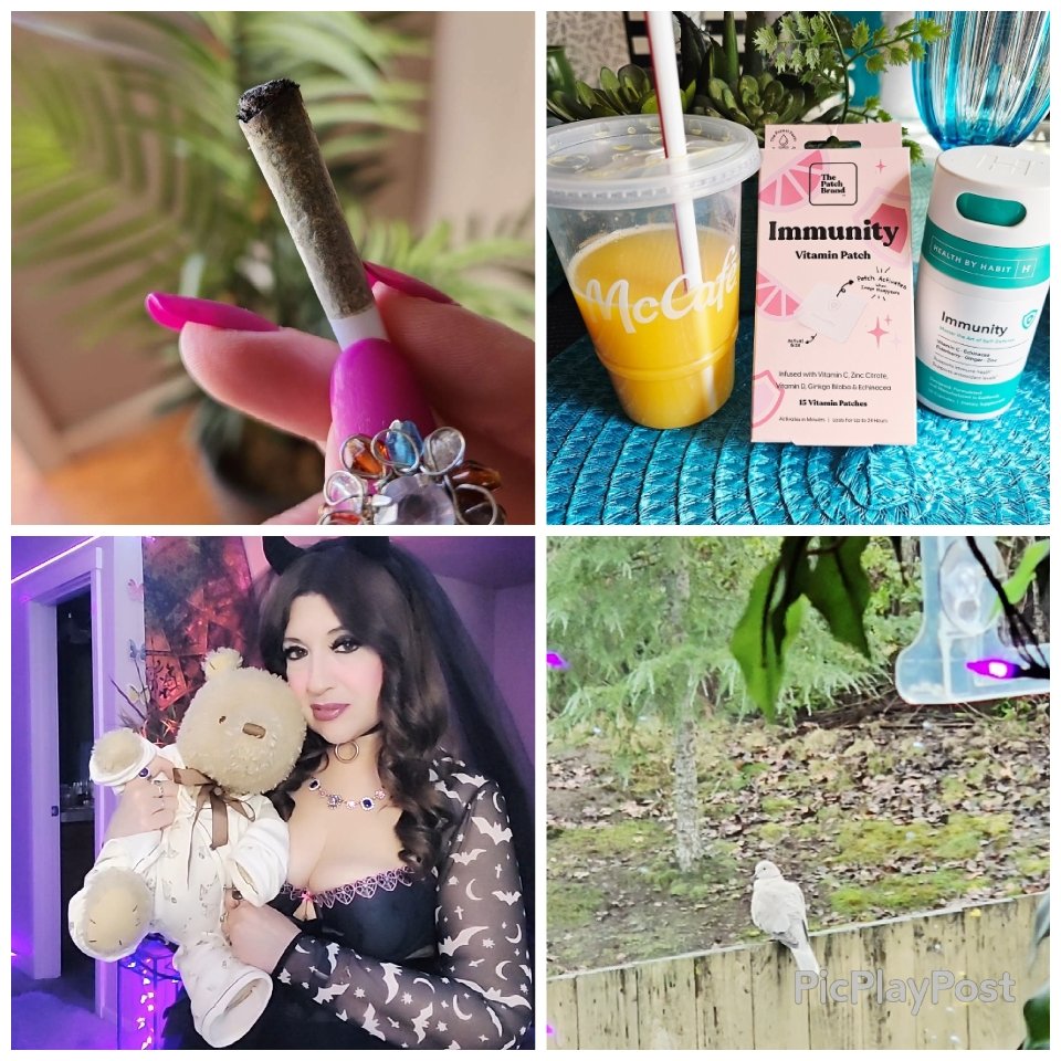 Novasugarr23's tweet image. Good morning friends! 🌞
  
 Seems I'm a bit under the weather,  and my immune system needs a boost! 🍊
 -&amp;gt; Natural remedies always work better 🌿  Don't you agree?
 May your Monday be as amazing as you! 🌷🤗🍃
#420friendly #selfcare