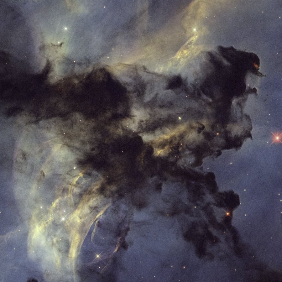 Space Vibe X tweet media