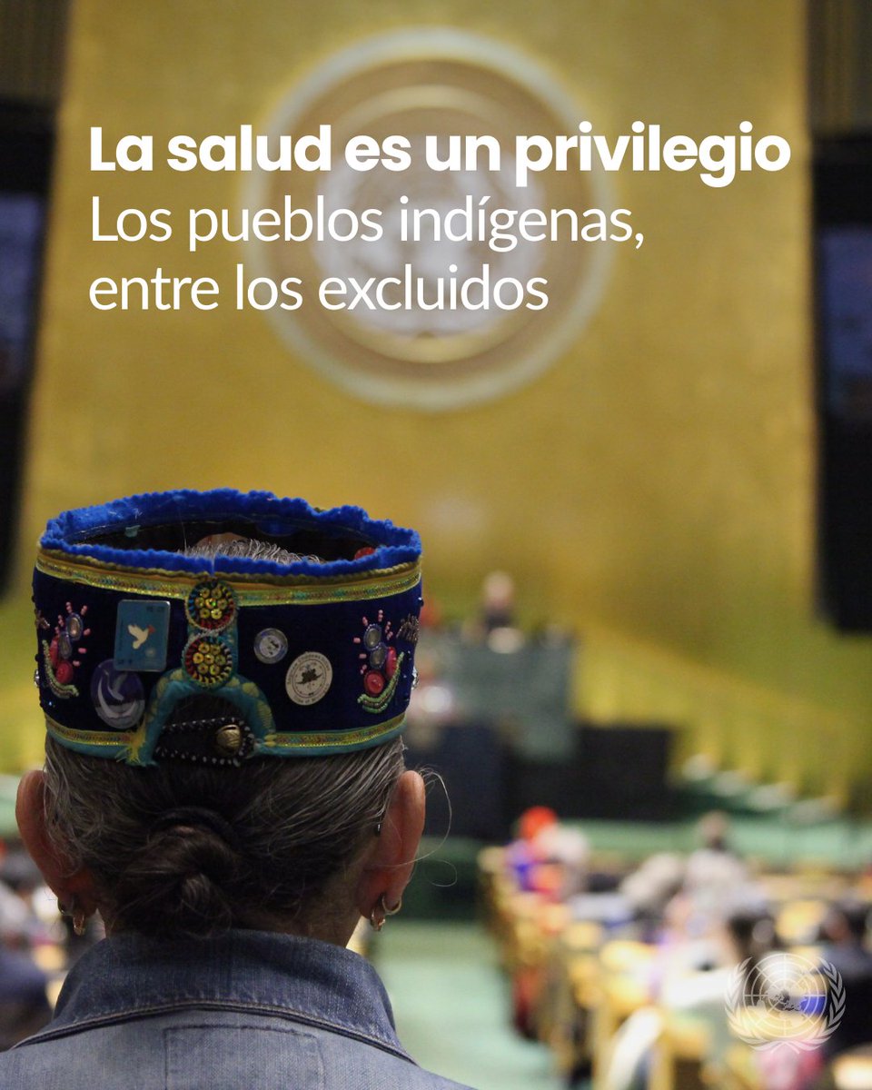 ONU_es's tweet photo. El acceso a la salud no es igual para todos.

Los pueblos indígenas representan casi el 19% de quienes viven en pobreza extrema y enfrentan graves barreras en salud.

En nuestra sede de Nueva York, más de 1.000 líderes alzan la voz y exigen soluciones.

Digámoslo juntos: Proteger sus derechos es proteger nuestro futuro.
#SomosIndígenas