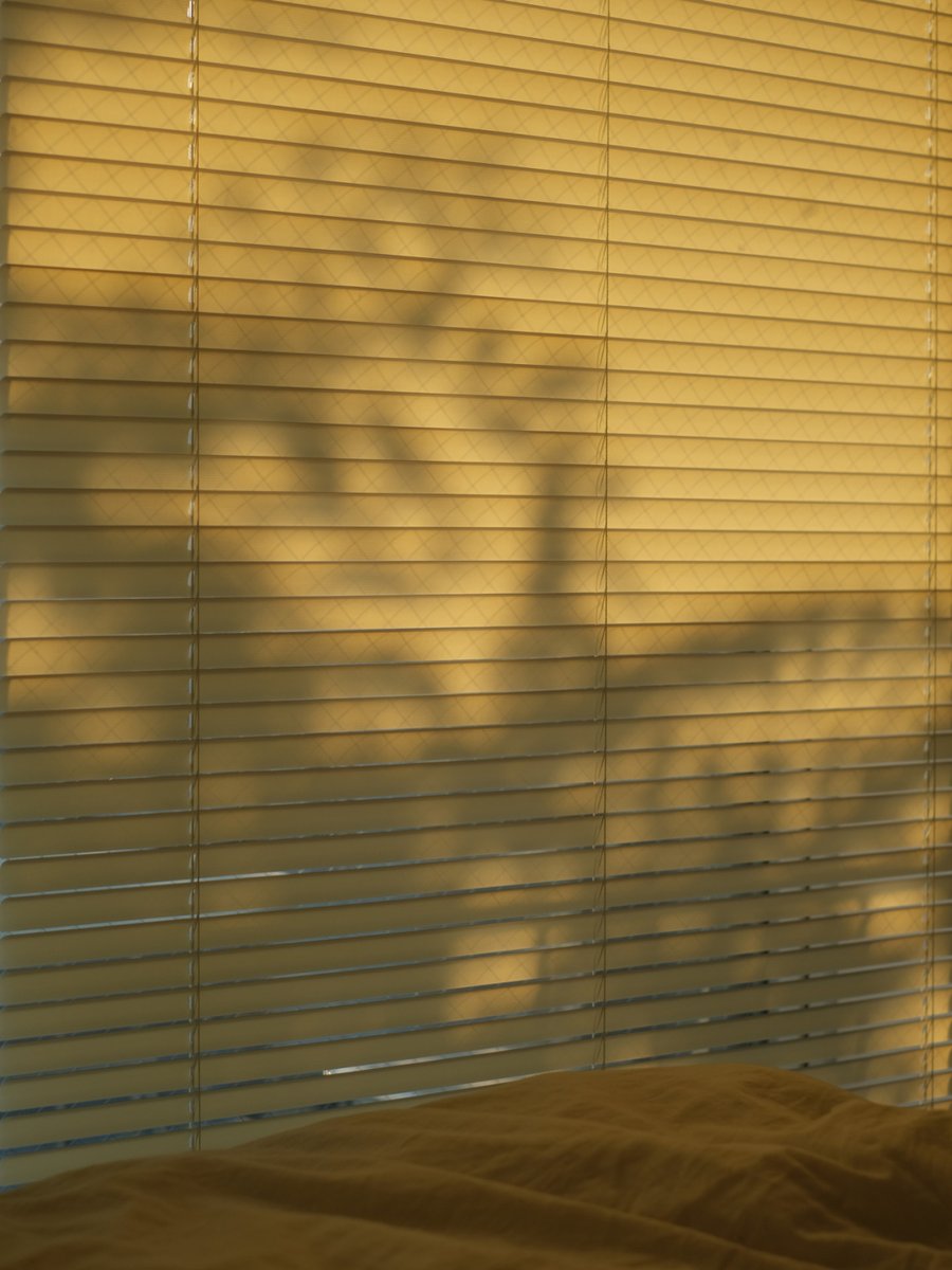 ValerieTetelin's tweet image. Just wrapped up a team sync—brainstormed Q3 goals, laughed over coffee, and left with clear action steps. Small wins, big progress  #WorkLife #TeamVibes