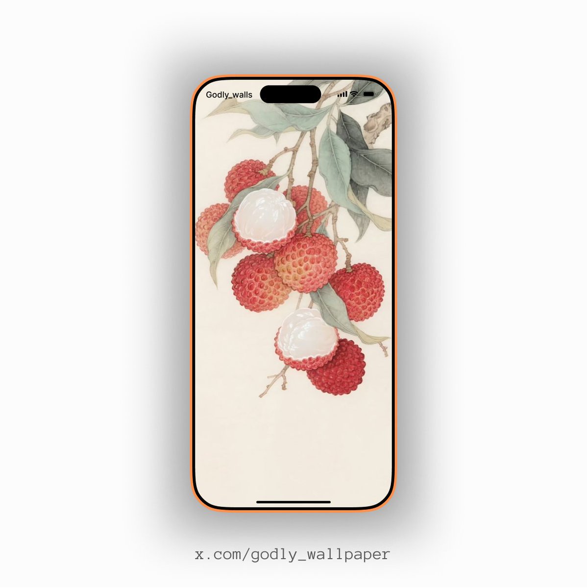 godly_wallpaper's tweet image. New #wallpaper ⚡
Don’t overthink. /10