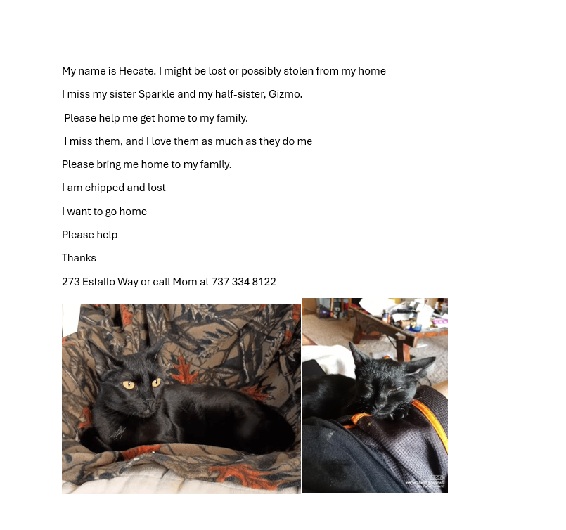 sahumane's tweet image. These cats are missing in #SanAntonio #lostcat