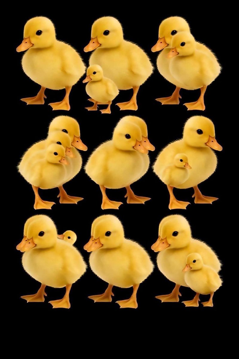 علي إسماعيل tweet media