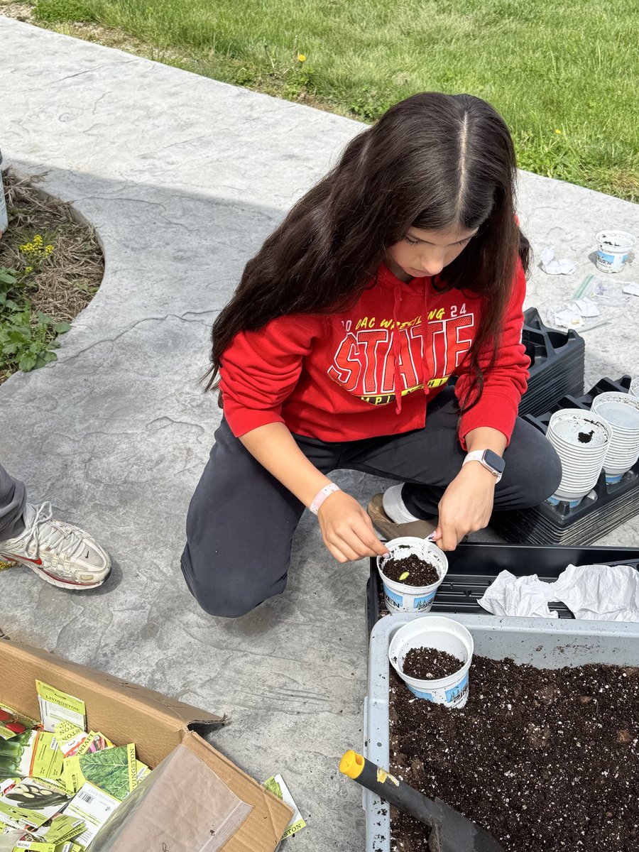 KeystoneFcs's tweet photo. FCS &amp; environmental students started our plants for the upcoming plant sale today! https://t.co/TfQBdclUeI