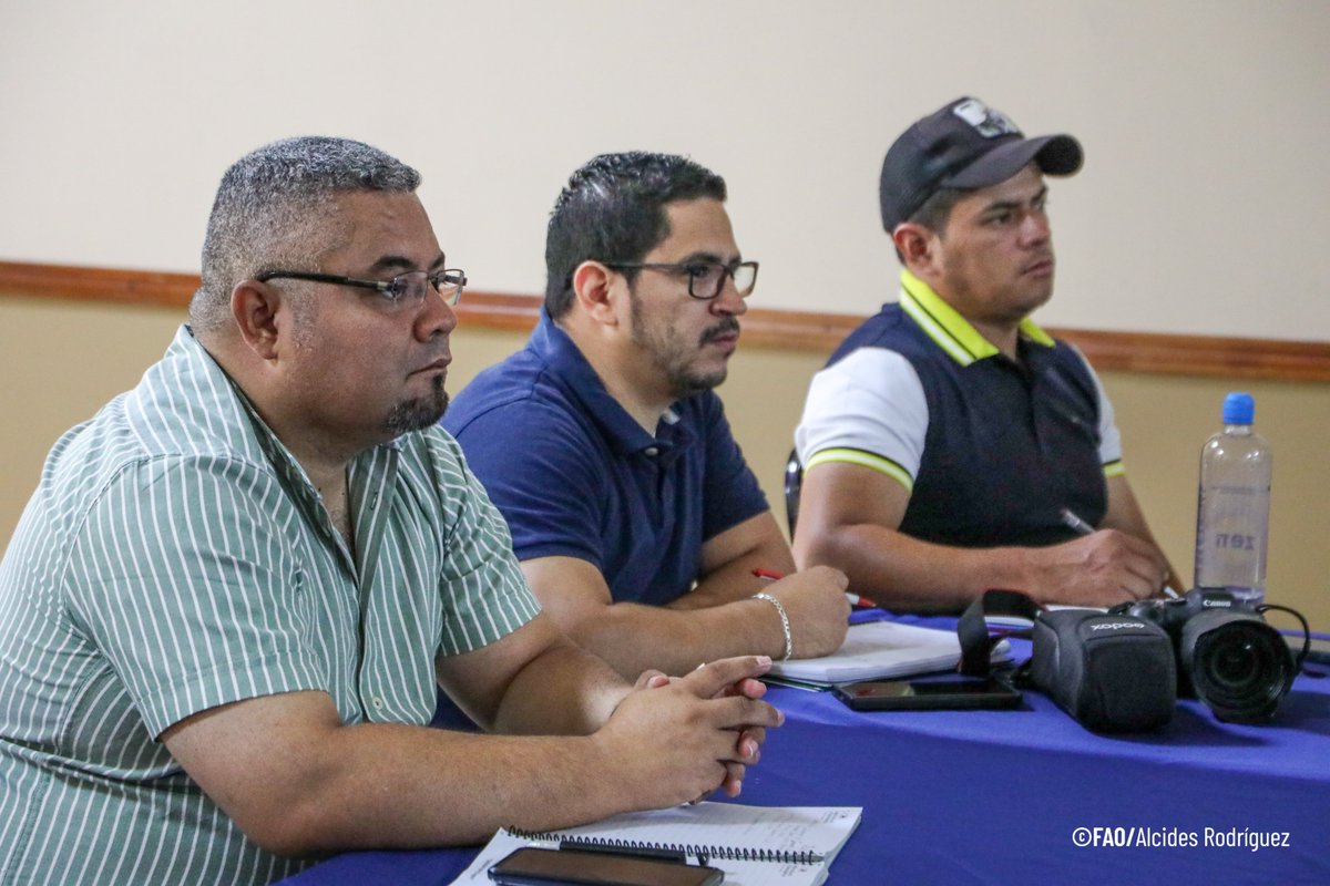 FAOHonduras's tweet photo. 📍Desde Choluteca, a través del proyecto #SoilFER, @FAOHonduras impulsa una misión técnica estratégica junto a @saghonduras, a través de #DICTA, @ZamoranoHN y con el valioso acompañamiento técnico de la @iaeaorg, modernizando los sistemas nacionales de información de suelos🇭🇳🤝 https://t.co/FB7RRuEJWJ