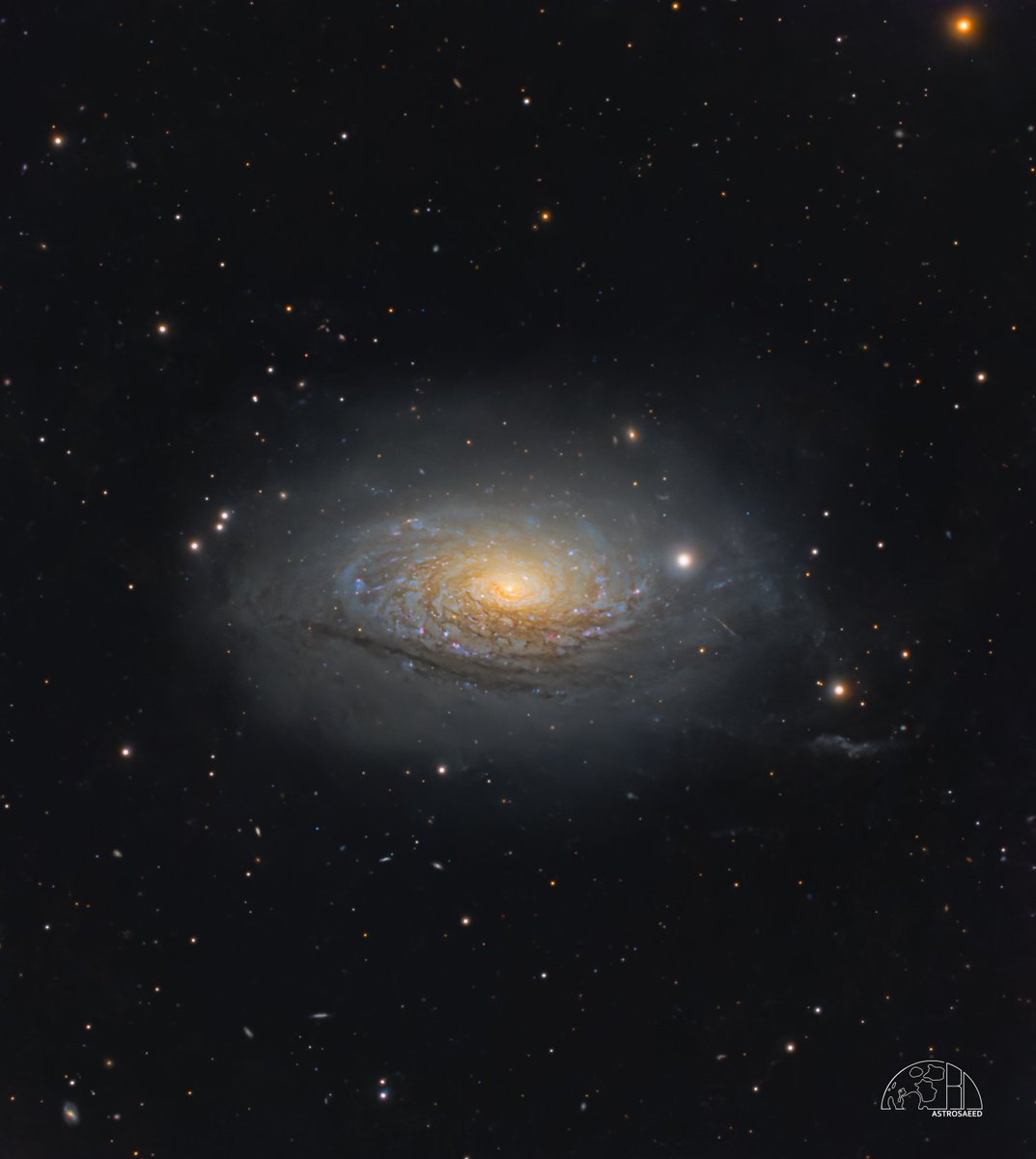 سعِيد 👽 tweet media