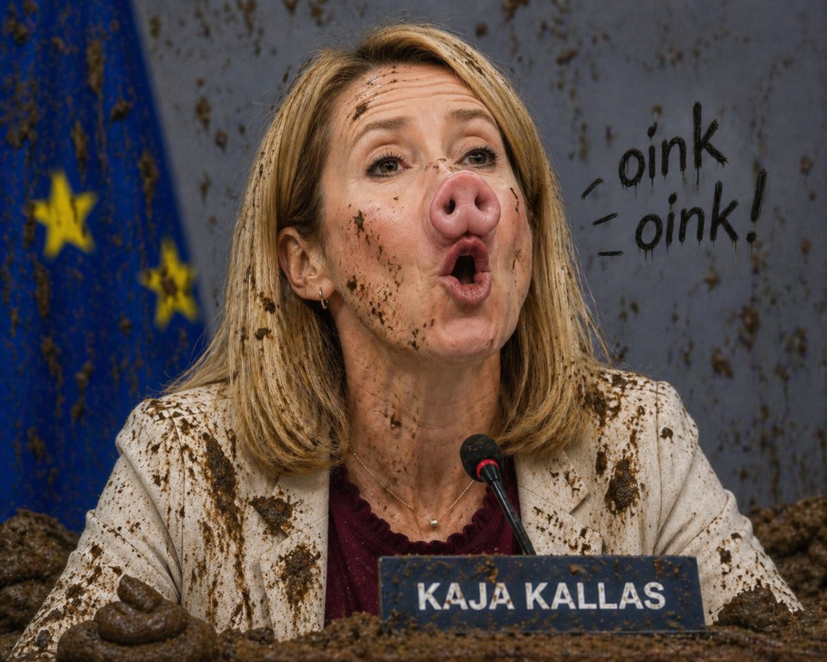 Aleksey The Great 🇷🇺🎖 tweet media