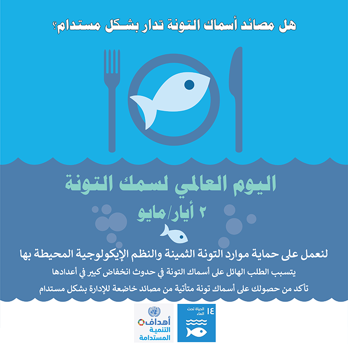 الأمم المتحدة tweet media