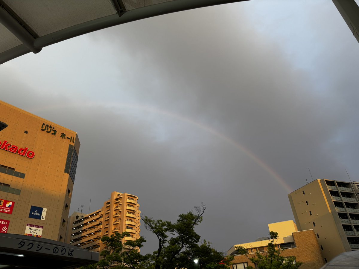 パニー・パニワ tweet media