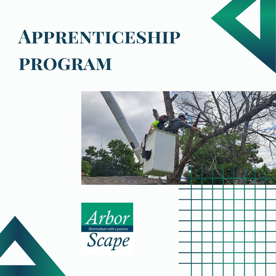 ArborScape's tweet image. Celebrate National Apprenticeship Week with ArborScape! Visit our website to learn how we're helping bridge the gap between education and OTJ training in the forestry industry.

#apprenticeshipweek #apprenticeships #tradework #arborist #journeymanarborist

arborscapeservices.com/arborscape-tre…