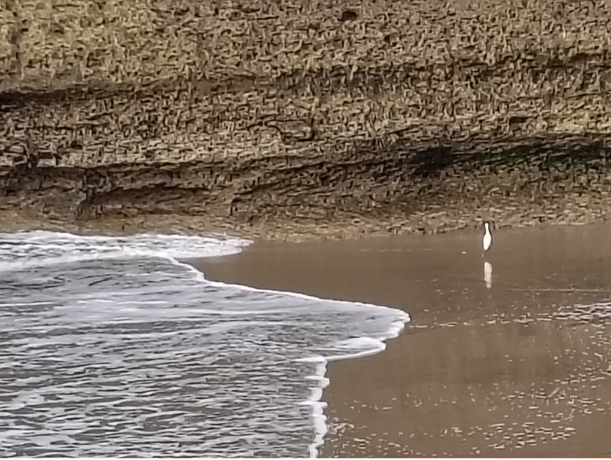 planetweaver's tweet image. 2/
11 yrs ago—2005—
—Prince Charles and Camilla, the Duchess of Cornwall, visited the Point Reyes Station #FarmersMarket during their trip to California. They also met with local farmers and enjoyed organic food at an organic farm in nearby Bolinas—