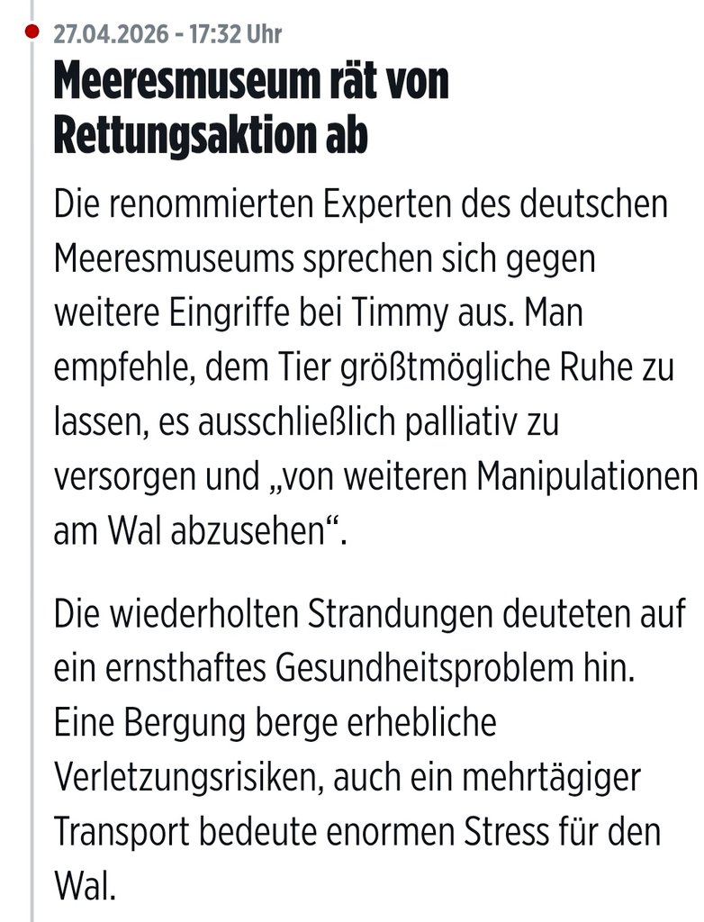 Thyra Maris 🙋🏻‍♀️✍️🕊️📚 tweet media