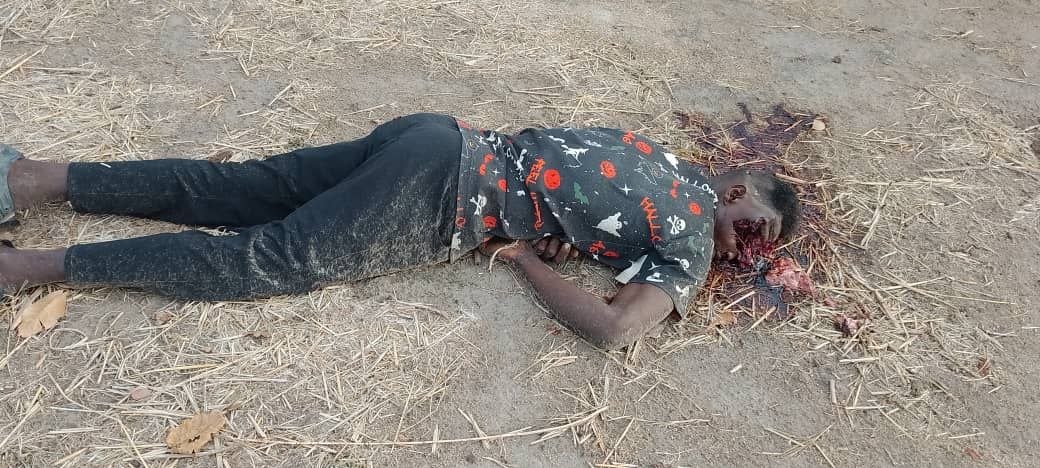 Nwaeze Simon Ekpa tweet media