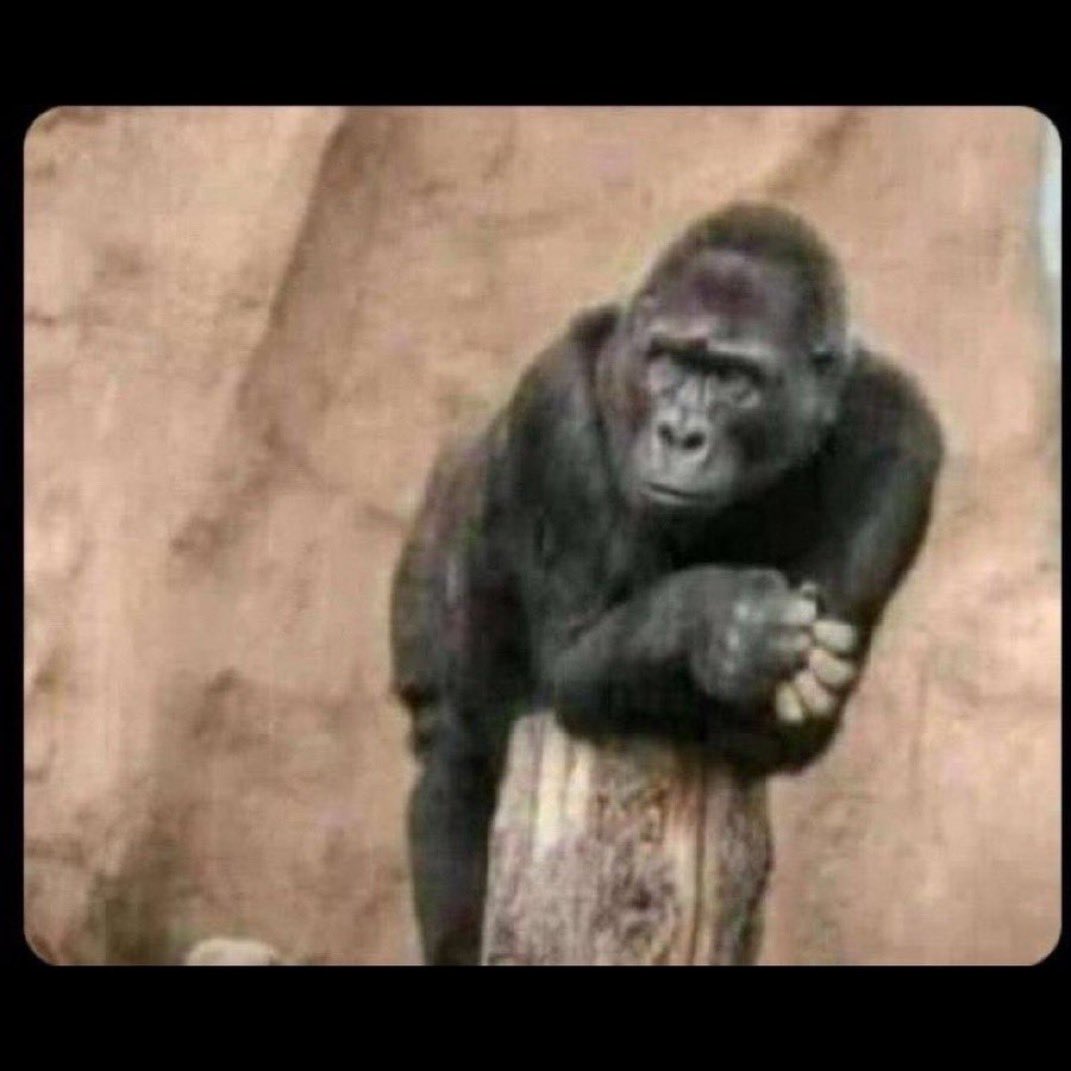 Pastor LoVeLy🥰🥀👅💦 tweet media