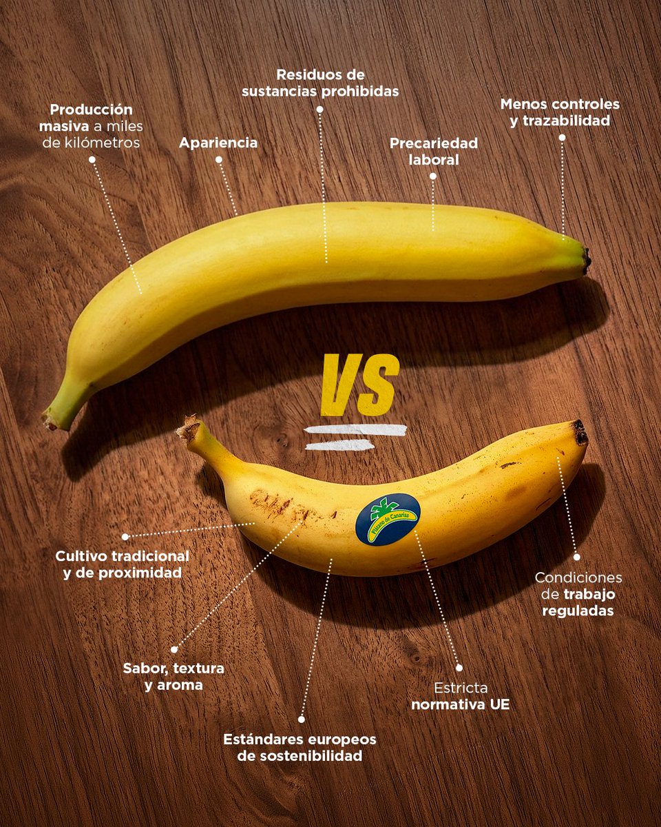 Plátano de Canarias 🍌 tweet media