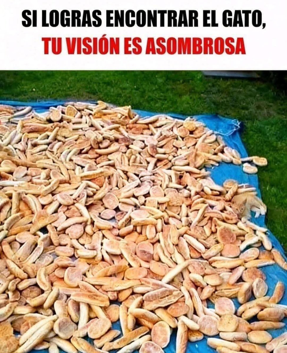 SandraQuiñones tweet media