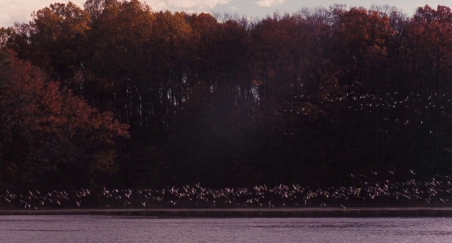 CinemaCrimes's tweet photo. DEAD POETS SOCIETY
Peter Weir | 1989 https://t.co/Gx3BGtdbD5