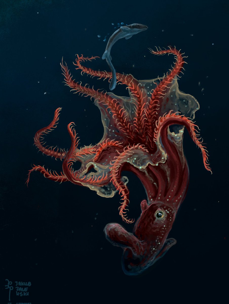 Jakub Zalewski tweet media