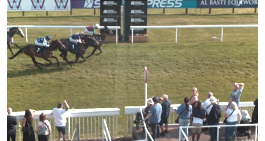 Macracing. tweet media
