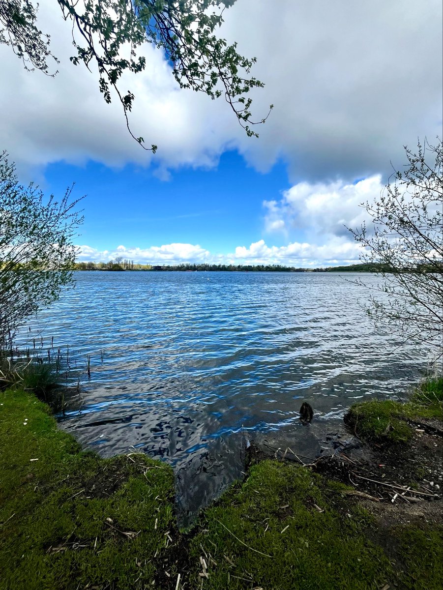 sw37xx's tweet image. Honourable thoughts &amp;amp; words alone are not 
enough…. They need to be followed by 
honourable actions! 💯 #MondayThoughts 

I hope you all have a very nice evening! 🤍