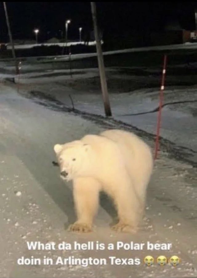 Thomas 🇺🇸🇺🇦🇹🇼 tweet media