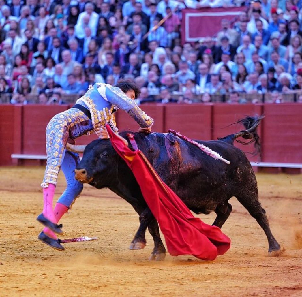 DrJAVazquez's tweet image. Heridas complejas en escenarios de simulación y al mismo tiempo exaltamos los valores de la tauromaquia @iestanahuac @RedAnahuac @antoninidejimen @TauromaquiaTMX @cristyna999 @MPAQUIRRI @RaquelMartinCom @Hilda_Tenorio @castabravamx #SoMe4Surgery #SoME4IQLatAm #surgicalmentor