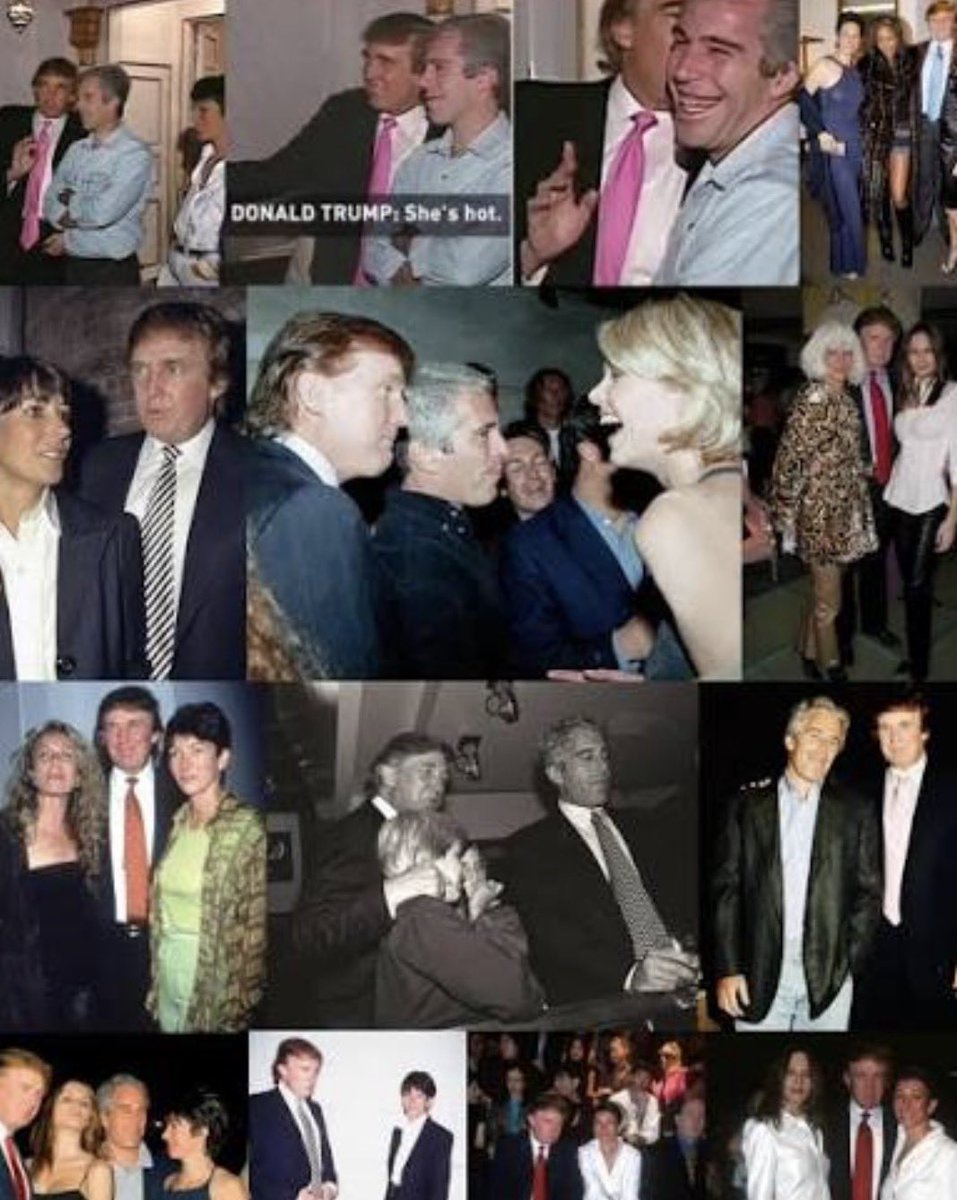 BeanTeen tweet media