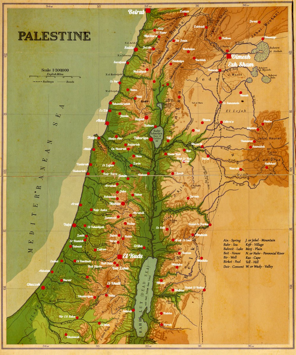 Ghali ⵣ 𓂆🍉🗝️🇵🇸 tweet media