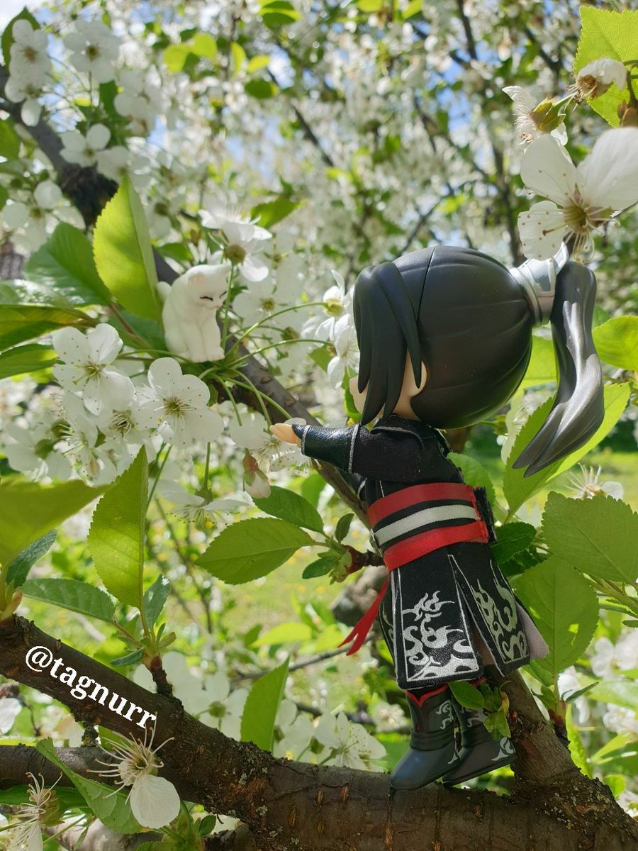 tagnurr's tweet image. It's time to post a few forgotten photos of my nendo Binghe from the last year 🥰

#LuoBinghe #nendroid #svsss