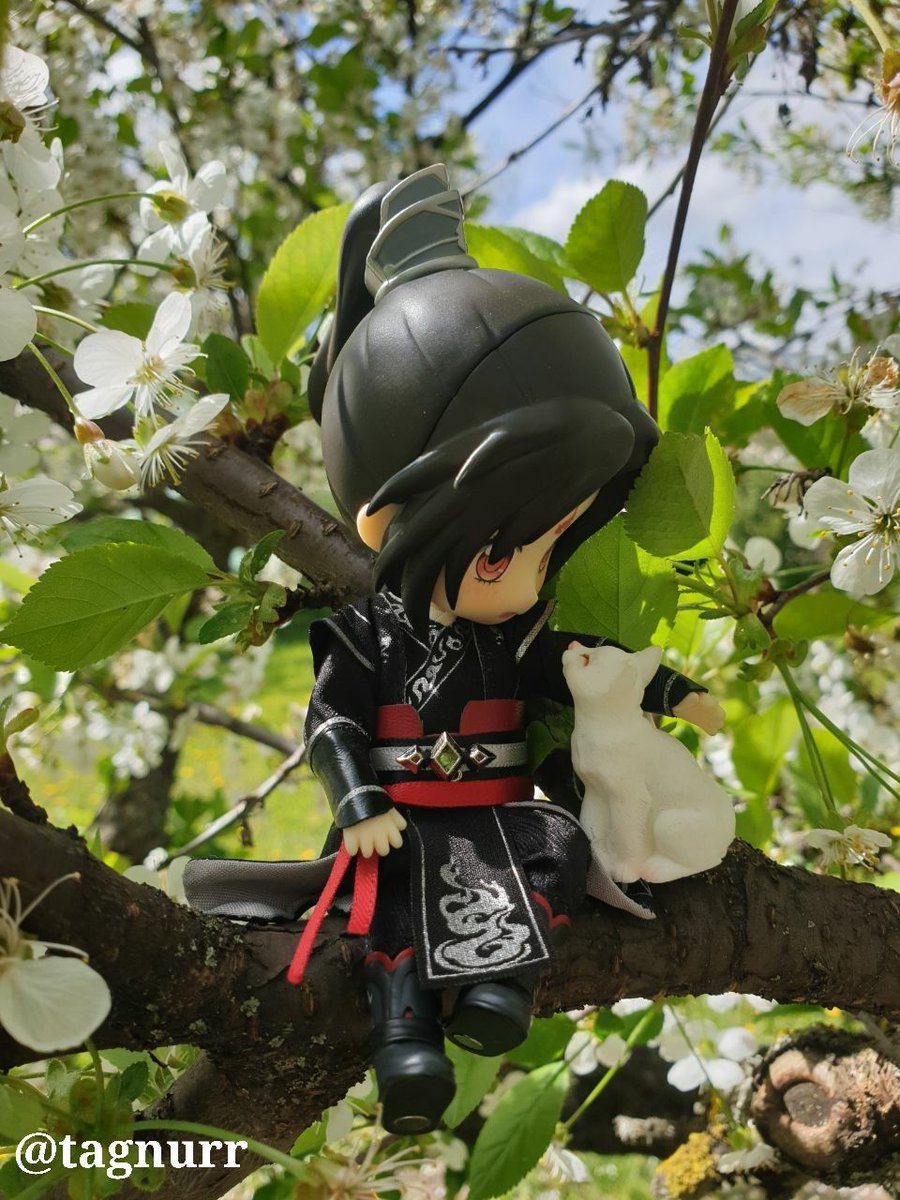 tagnurr's tweet image. It's time to post a few forgotten photos of my nendo Binghe from the last year 🥰

#LuoBinghe #nendroid #svsss