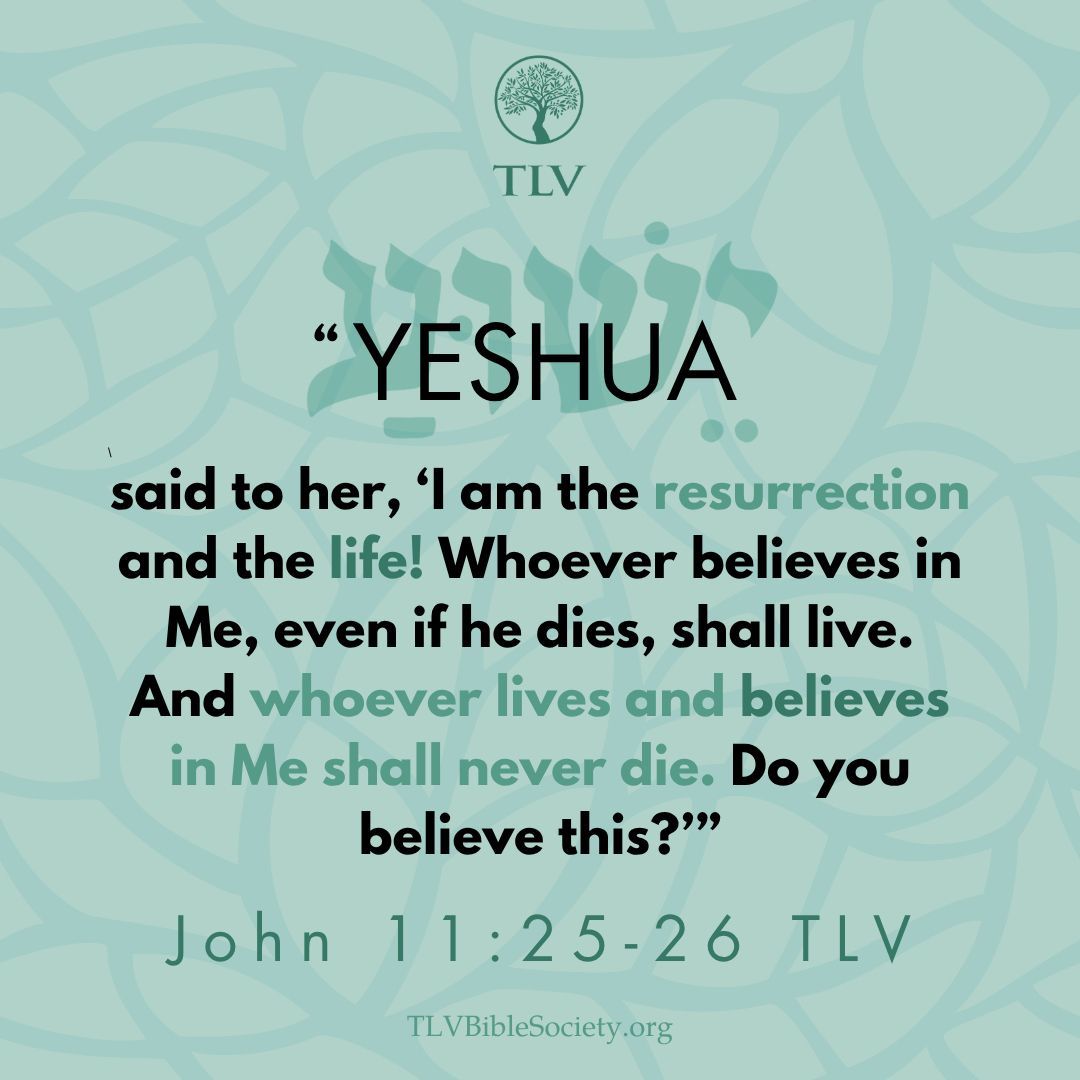 TLVBibleSociety's tweet image. "Yeshua said to her, 'I am the resurrection and the life! Whoever believes in Me, even if he dies, shall live. And whoever lives and believes in Me shall never die. Do you believe this?'” John 11:25-26 TLV

#verseoftheday #votd #scripture #bibleverse #tlvbible