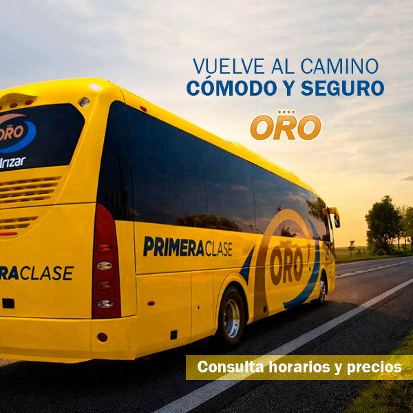 Autobuses ORO tweet media