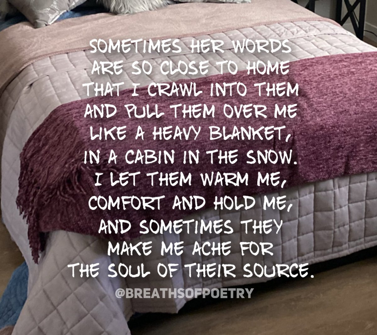 breathsofpoetry's tweet image. #poetry #micropoetry #writing #romance #breathsofpoetry