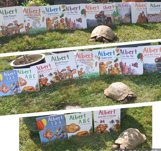 AlbertTortoise's tweet image. On the level... all #inspired by real #ALBERTthetortoise. #AvailableNow 9 #ALBERT #picturebooks, 3 #BoardBooks &amp;amp; #ActivityBook Alberttortoise.com
#tortoise #bookseries #illustrated #garden #storytime #earlyreaders