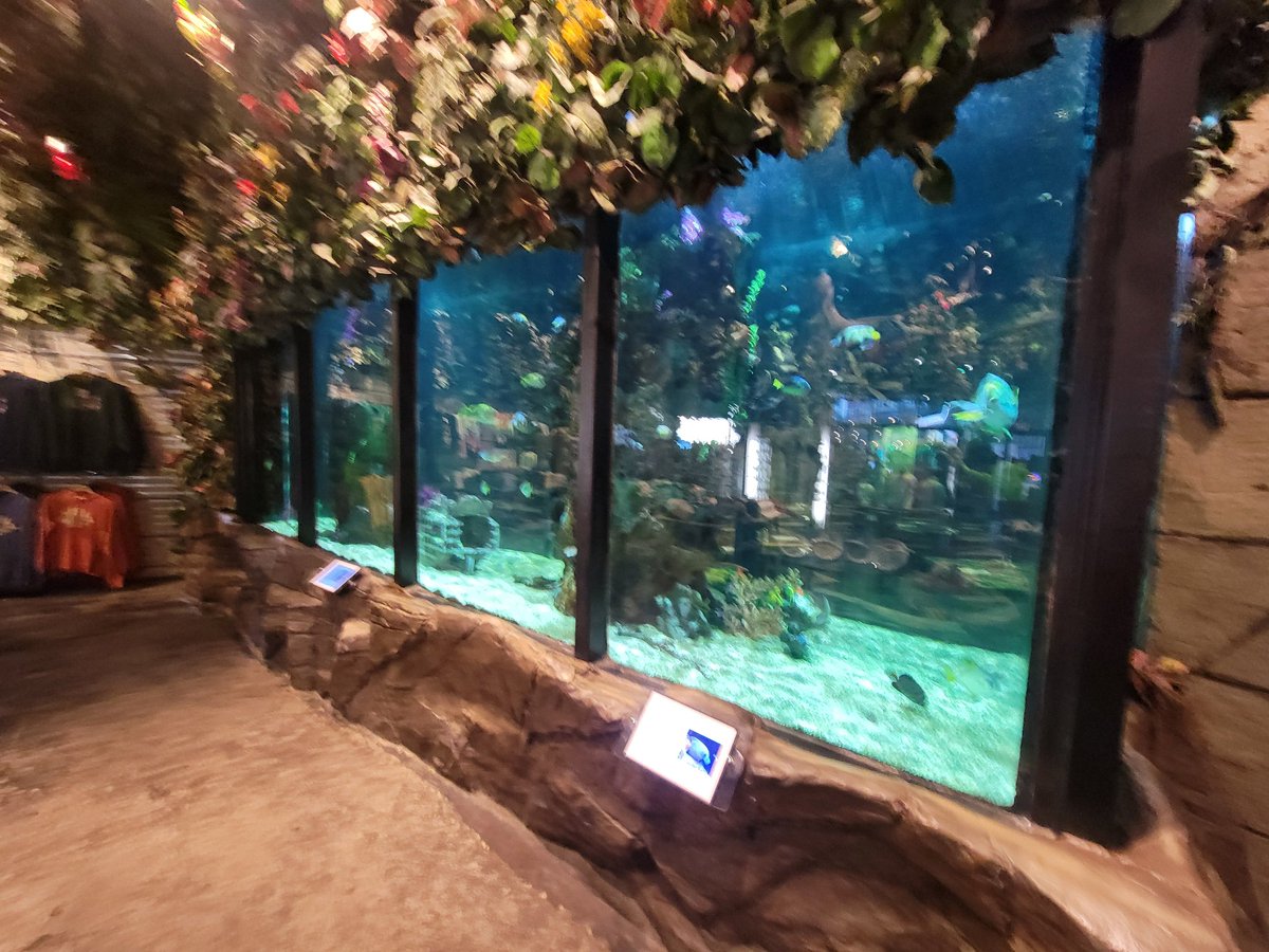 Pennys4Vegas tweet media