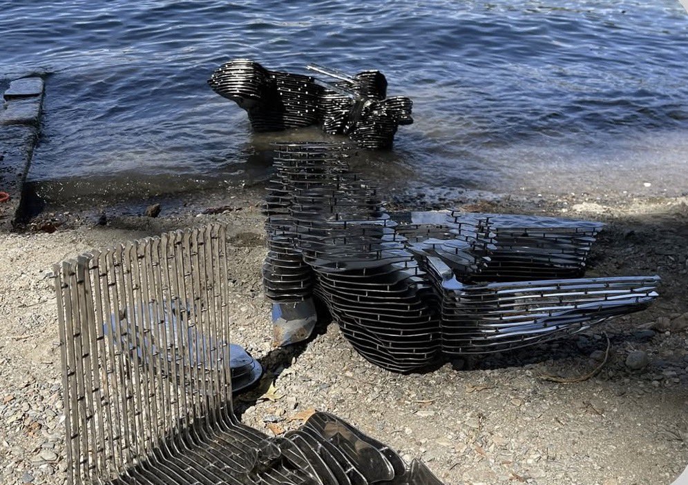 Jacob King tweet media